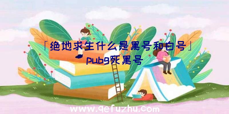 「绝地求生什么是黑号和白号」|pubg死黑号